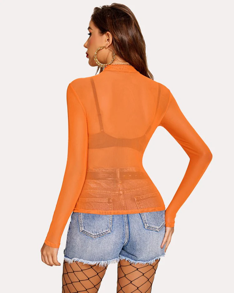 Leopard Sheer Long Sleeve Mock Neck Mesh Crop Top - Image 4