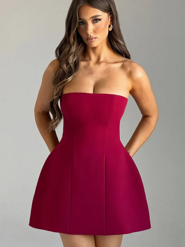 Asha Mini Dress - Wine