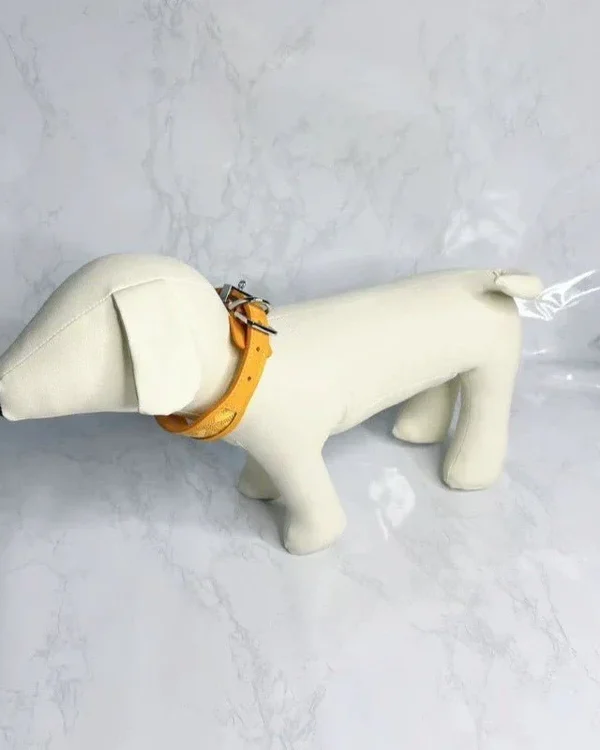 The Aristopet Collar