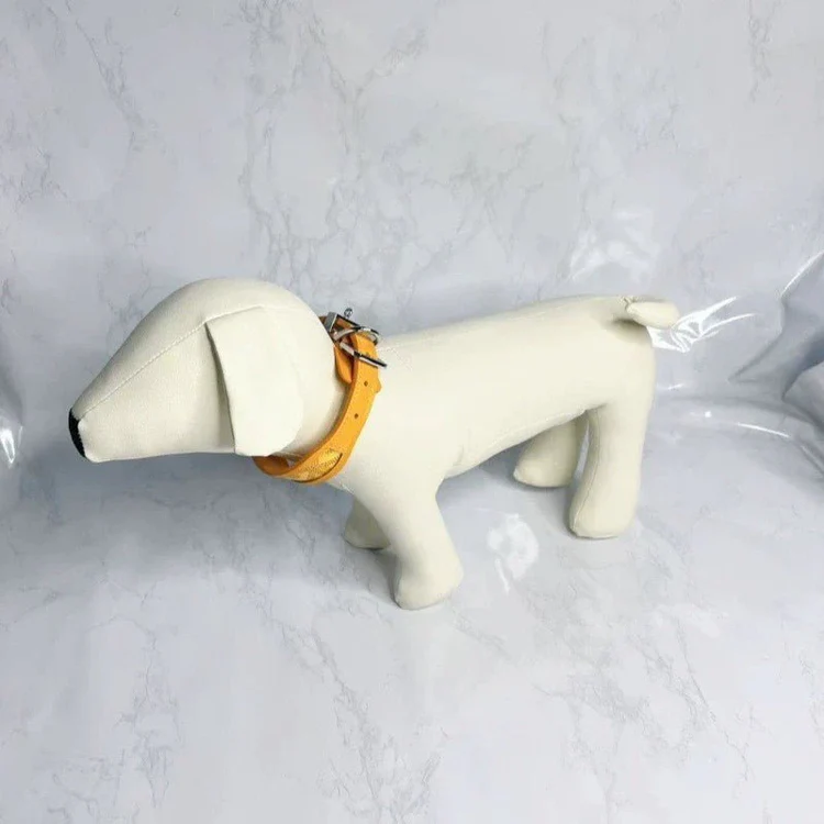 The Aristopet Collar